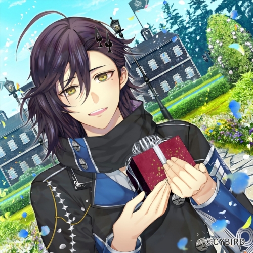 ドラマcd イケメン革命 アリスと恋の魔法 シチュエーションcd Happy Birthday To You ルカ クレメンス編 初回限定盤 Cv 榎木淳弥 アニメイト