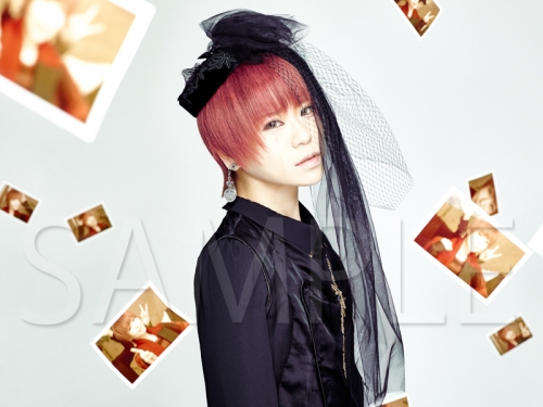 主題歌 Tv 名探偵コナン Ed 君への嘘 Valshe 名探偵コナン盤 アニメイト