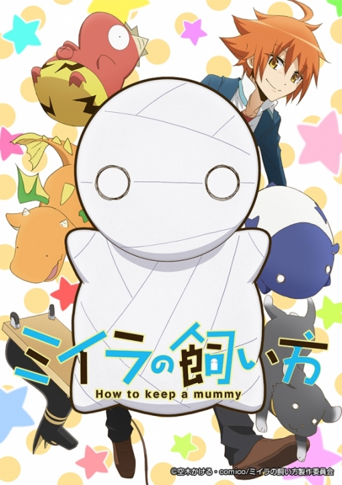 一括購入商品 Dvd一括購入 Tv ミイラの飼い方 アニメイト