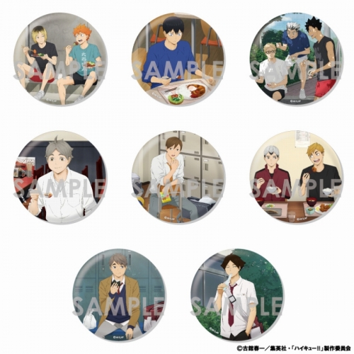 グッズ-バッチ】ハイキュー!! トレーディングBIG缶バッジ -いただき 