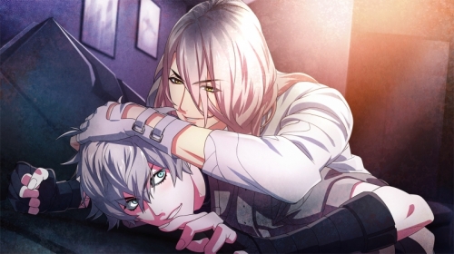 Win ディストピアの王 初回限定版 アニメイト