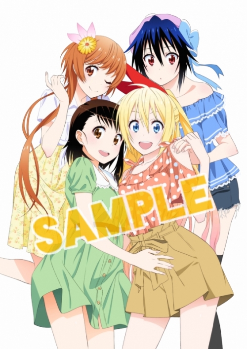 コミック】ニセコイ(17) 予約限定版 アニメDVD付 同梱版 | アニメイト