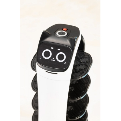 【プラモデル】PUDU ベラボット【再販】