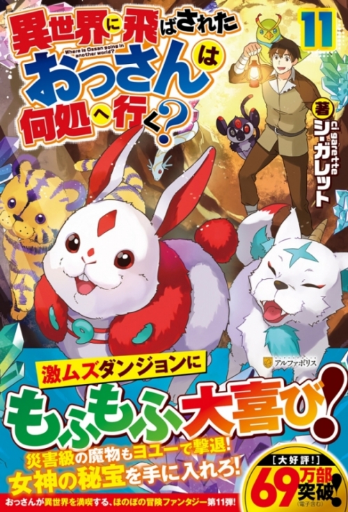 小説 異世界に飛ばされたおっさんは何処へ行く 11 アニメイト