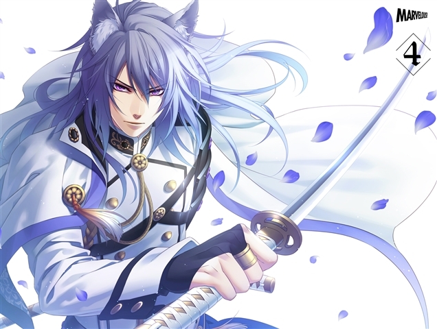 【DVD】TV 戦刻ナイトブラッド 4