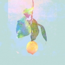 【マキシシングル】米津玄師/Lemon 通常盤の画像