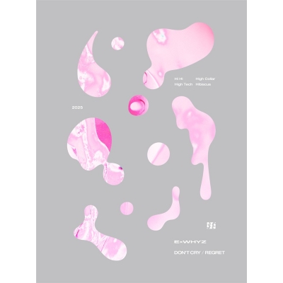 【音楽】ExWHYZ/DON'T CRY/リグレット 初回生産限定盤 Blu-ray Disc付