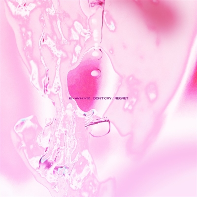 【音楽】ExWHYZ/DON'T CRY/リグレット 通常盤