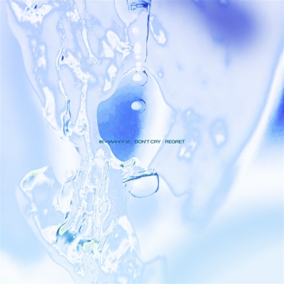 【音楽】ExWHYZ/DON'T CRY/リグレット DVD盤