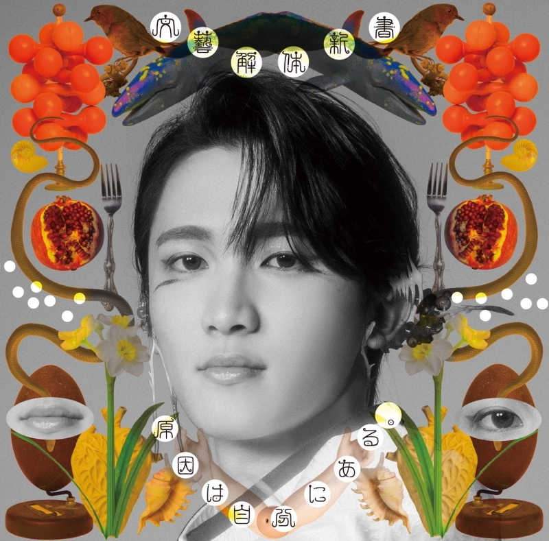 【音楽】原因は自分にある。/文藝解体新書(桜木雅哉盤)