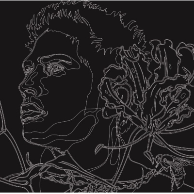 【レコード】平井堅/LIFE is... 完全生産限定盤