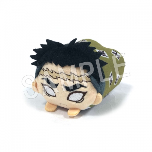 グッズ マスコット 鬼滅の刃 もちころりん ぬいぐるみマスコット 柱ver 再販 アニメイト