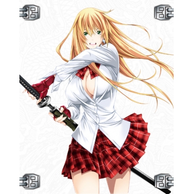 【DVD】OVA 一騎当千 Western Wolves