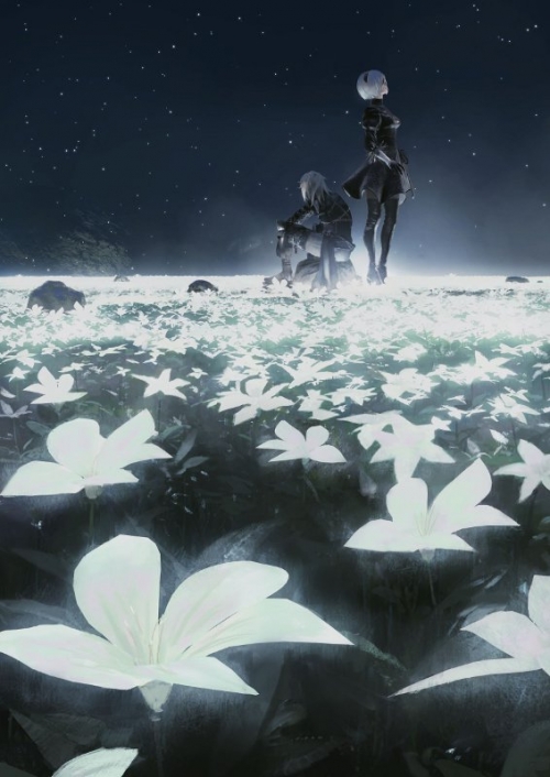 Blu-ray】NieR:Orchestra Concert 12018 | アニメイト 