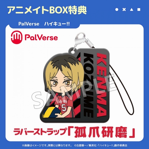 翔陽時在フォルド＆リバルティスFFR2枚セット 有限