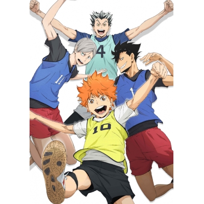 【DVD】TV ハイキュー!! セカンドシーズン Vol.2