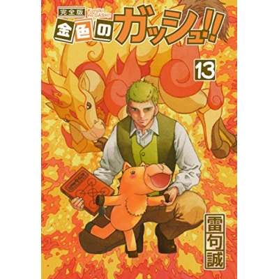 【コミック】金色のガッシュ!! 完全版(13)