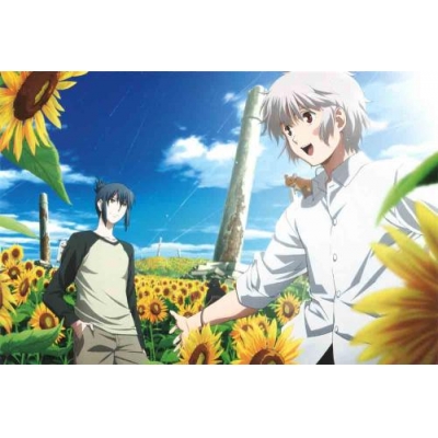 【DVD】TV NO.6 VOL.6 通常版