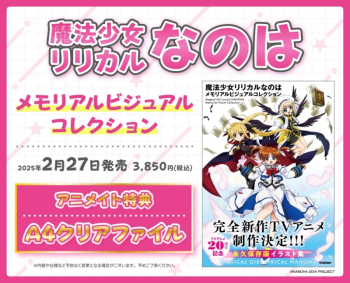 画集・イラスト集】魔法少女リリカルなのは メモリアルビジュアル 