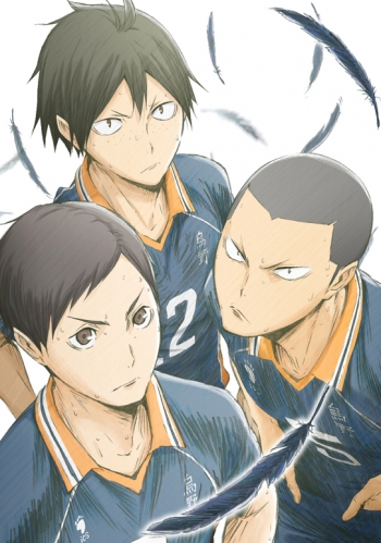 Blu-ray】TV ハイキュー!! 烏野高校 VS 白鳥沢学園高校 Vol.4 | アニメイト