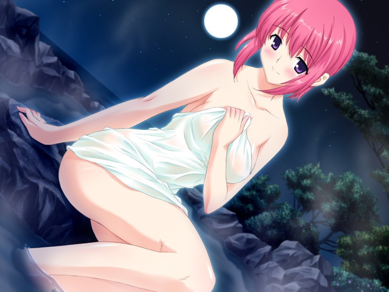 ゲーム データ販売 データ販売 よくばりサボテン Pcダウンロード版 アリスソフト アニメイト