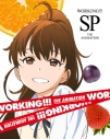 【DVD】TV WORKING!!! SP 完全生産限定版の画像