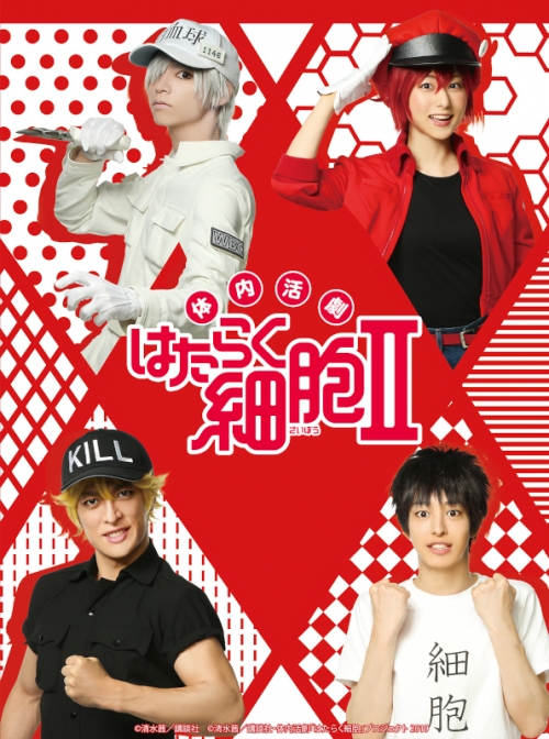 DVD】体内活劇 はたらく細胞 II 完全生産限定版 | アニメイト