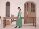 【アルバム】藤田麻衣子/wish 初回限定盤の画像
