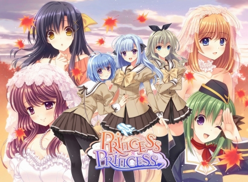 Win Princess Princess 豪華限定版 プリンセス プリンセス 豪華限定版 アニメイト