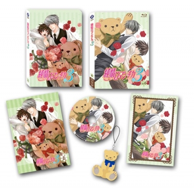 【DVD】TV 純情ロマンチカ3 第6巻 限定版