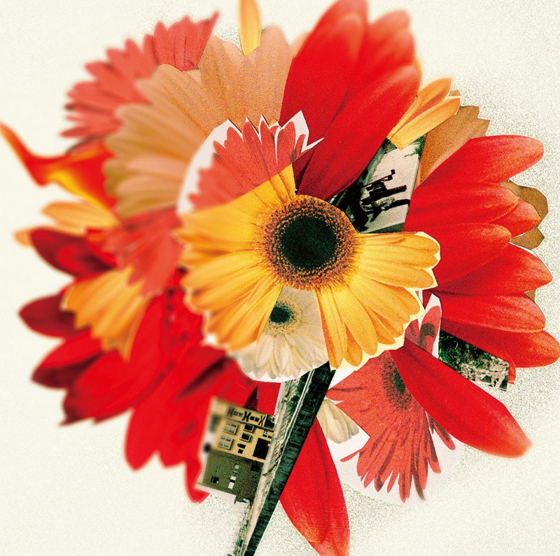 【アルバム】花は咲くプロジェクト arrangement by 菅野よう子/ハナハサク