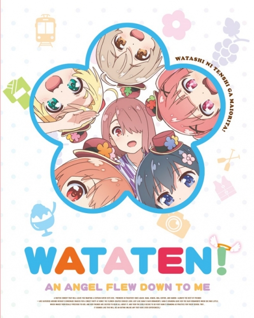 Blu-ray】OVA 私に天使が舞い降りた!プレシャス・フレンズ 限定版 