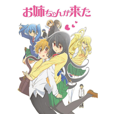 【DVD】TV お姉ちゃんが来た