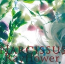 【アルバム】Rayflower/Narcissusの画像