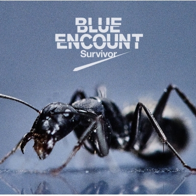 【主題歌】TV 機動戦士ガンダム 鉄血のオルフェンズ OP「Survivor」/BLUE ENCOUNT 初回生産限定盤