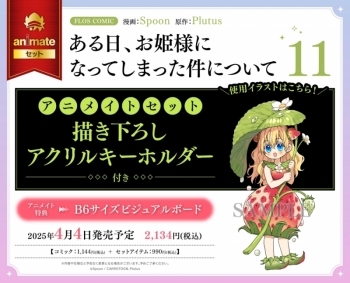 コミック】ある日、お姫様になってしまった件について(11) アニメイト 
