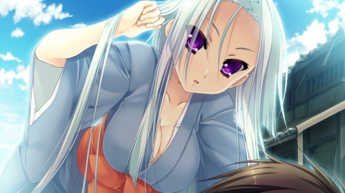 Ps4 戦国 恋姫 乙女絢爛 戦国絵巻 豪華絢爛出陣セット アニメイト