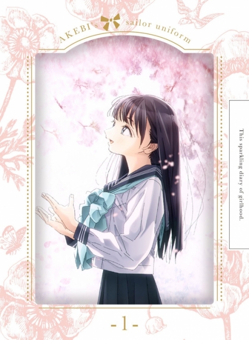 Blu Ray Tv 明日ちゃんのセーラー服 1 完全生産限定版 アニメイト
