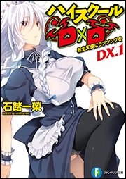 【小説】ハイスクールD×D DX.1 転生天使にラブソングを