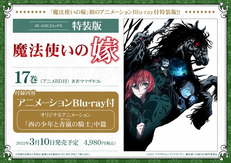 【コミック】魔法使いの嫁(17) 特装版