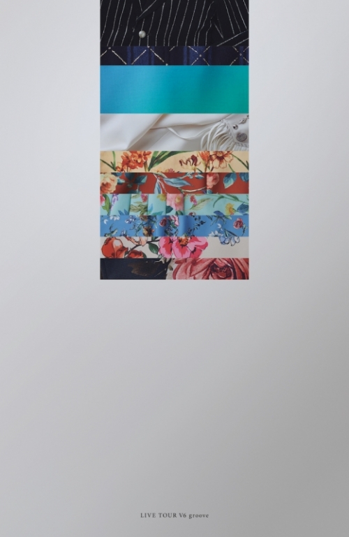 Dvd V6 Live Tour V6 Groove 初回盤a アニメイト