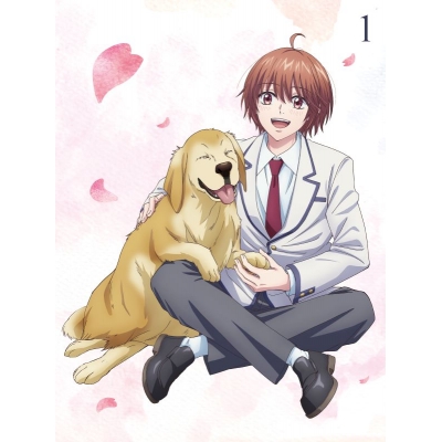 【DVD】TV 花ざかりの君たちへ DVD BOX Vol.1【完全生産限定版】