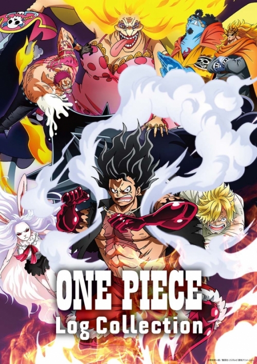 Dvd Tv One Piece Log Collection Snakeman アニメイト