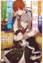 【小説】宰相補佐と黒騎士の契約結婚と離婚とその後 ~辺境の地で二人は夫婦をやり直す~の画像