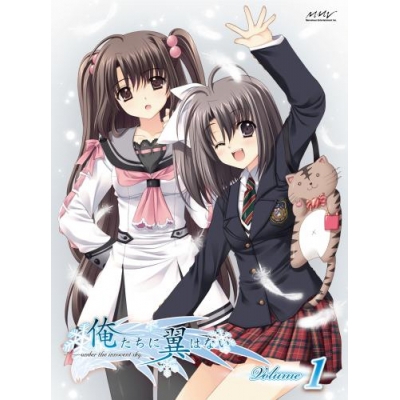 【DVD】TV 俺たちに翼はない 第1巻