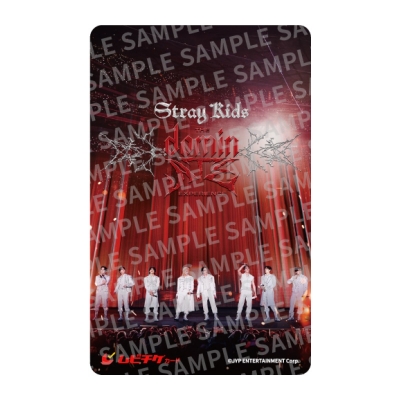 【チケット】Stray Kids : The dominATE Experience ムビチケカードB