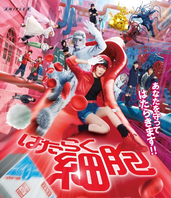 【Blu-ray】映画 実写 はたらく細胞【通常版】