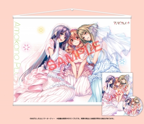 ピロ水 アマカノ2 ビジュアルファンブック ドラマCD付限定版 