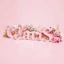【アルバム】ClariS/ClariS ~SINGLE BEST 1st~ 通常盤の画像