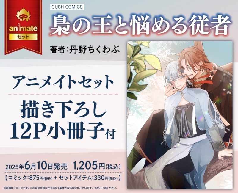 【コミック】梟の王と悩める従者 アニメイトセット【描き下ろし12P小冊子付き】